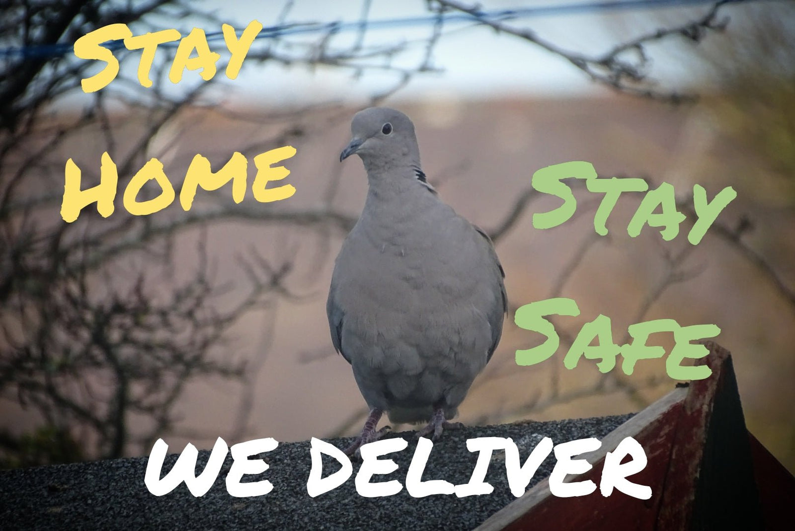 Delivery Available - Armin Lowe Jewellers