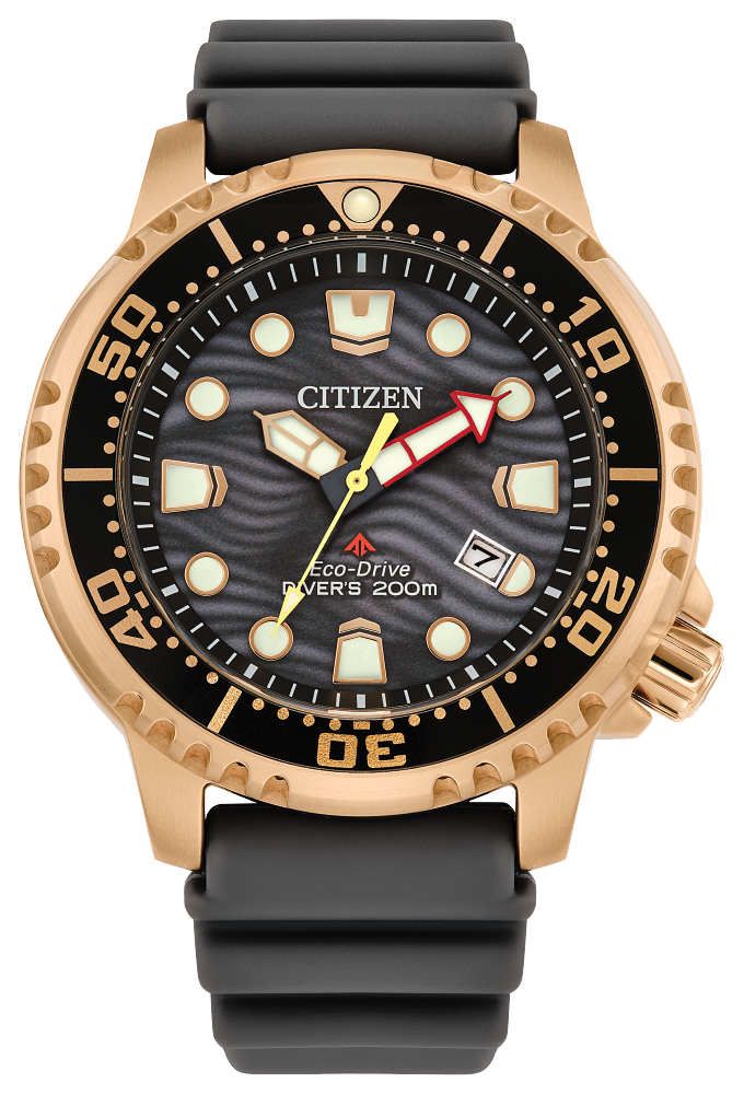 Citizen Rose Gold toned divers watch BN0163-00H 36765 - Armin Lowe Jewellers