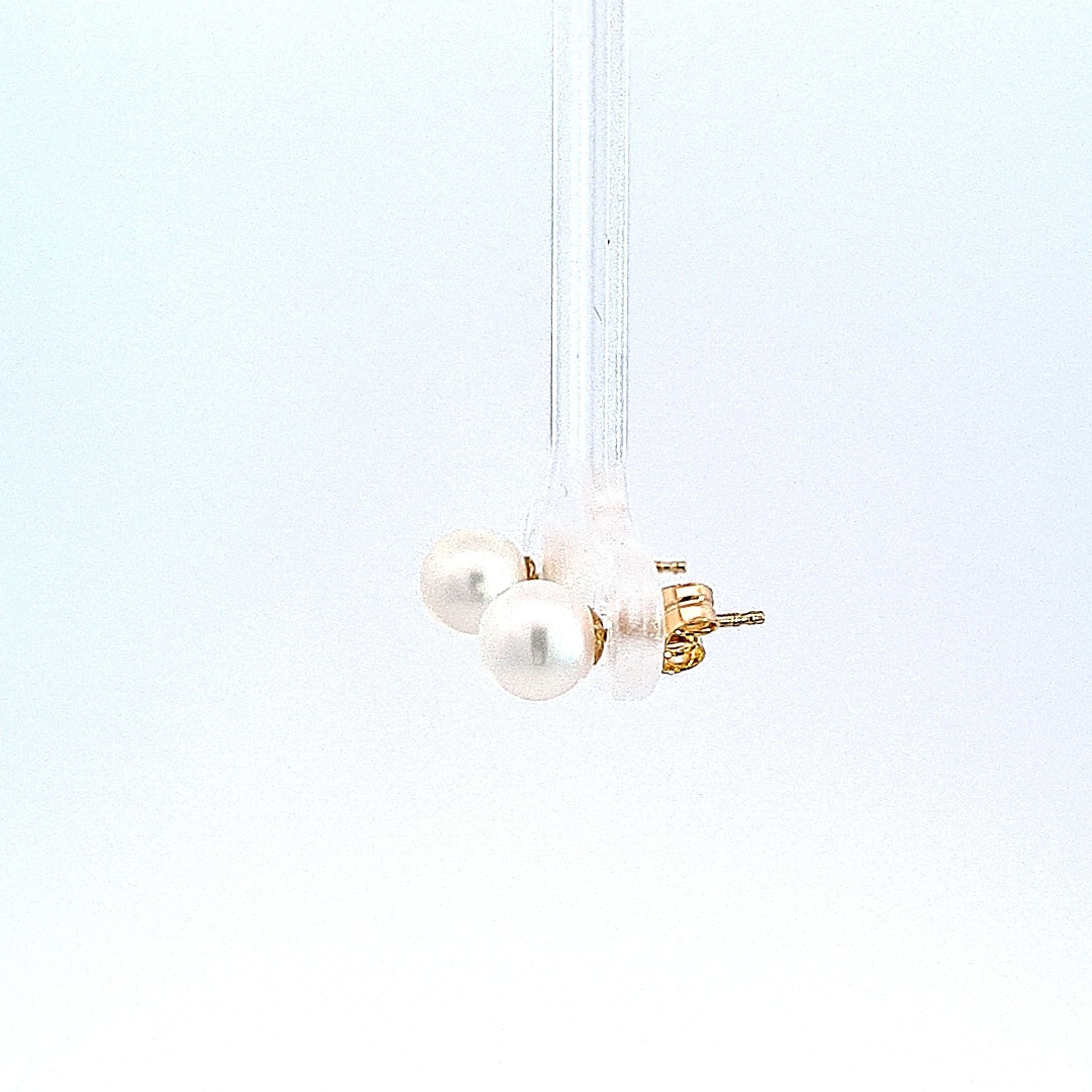Yellow gold 6mm freshwater cultured pearl stud 34250 - Armin Lowe Jewellers