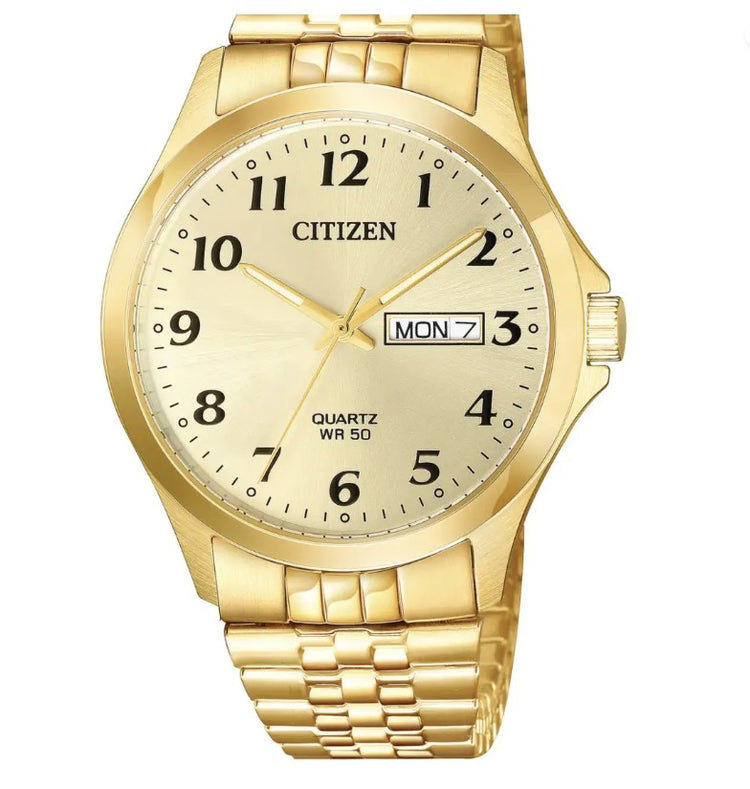 Expander gents watch